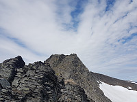 fredriks_20220720_62d7fd667cdd3.jpg