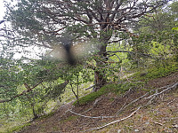 fredriks_20220720_62d7fd728e55f.jpg