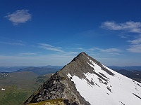 fredriks_20220720_62d81fd1d1ee0.jpg