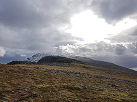 fredriks_20220721_62d87d98c1d04.jpg
