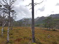 fredriks_20220721_62d87dcc9bbaf.jpg