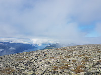 fredriks_20220724_62dd25d9d324d.jpg