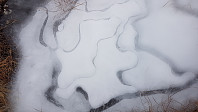 fredriks_20221127_63838ec2add4b.jpg