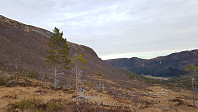fredriks_20221127_63838ed22c2a6.jpg