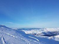 fredriks_20230402_6429f1b8309cc.jpg