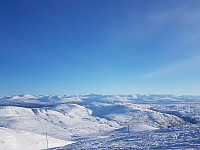 fredriks_20230402_6429f1b9392d8.jpg