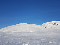 fredriks_20230402_6429f1bc5fa02.jpg