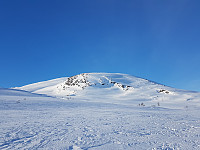 fredriks_20230402_6429f1bd70215.jpg