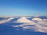 fredriks_20230402_6429f1be8a36c.jpg