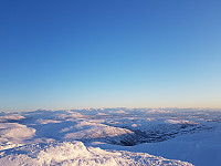 fredriks_20230402_6429f1bf8b3a0.jpg