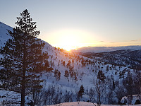fredriks_20230402_6429f1c296f7e.jpg