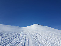 fredriks_20230406_642e8bae2c4c7.jpg