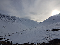 fredriks_20230408_6431cb4b9ff60.jpg