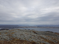 fredriks_20230424_6446cefae9da4.jpg