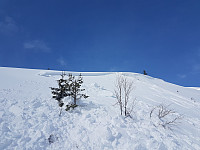 fredriks_20230501_644fba3150a08.jpg