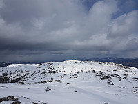 fredriks_20230501_644fba349d7bb.jpg