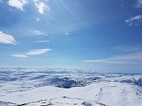 fredriks_20230507_6457c2a4db670.jpg