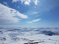 fredriks_20230507_6457c2a5ebd14.jpg