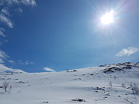 fredriks_20230507_6457c2ac613fa.jpg