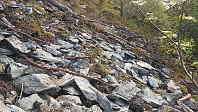 fredriks_20230522_646bb55718a10.jpg