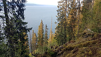 fredriks_20230522_646bb563c698a.jpg