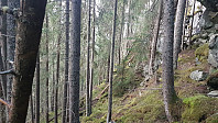 fredriks_20230522_646bb570b6870.jpg