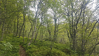 fredriks_20230611_6485cd31f2b92.jpg