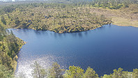fredriks_20230618_648f6a4eb924c.jpg