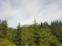 fredriks_20230713_64afd966cb2e1.jpg