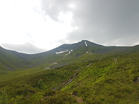 fredriks_20230713_64b0536be5681.jpg