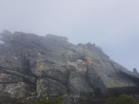 fredriks_20230713_64b0547f73767.jpg