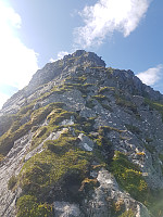 fredriks_20230713_64b0550fe2dd3.jpg