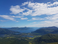 fredriks_20230713_64b0551d9ee26.jpg