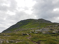 fredriks_20230717_64b50a457fc84.jpg