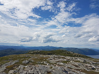 fredriks_20230717_64b50a77c4495.jpg