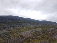 fredriks_20230717_64b50ae48ce56.jpg