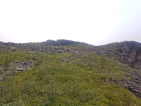 fredriks_20230717_64b50af210f1d.jpg