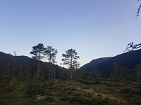 fredriks_20230717_64b50f2fb5de9.jpg