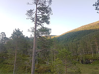 fredriks_20230717_64b50f327f0bc.jpg
