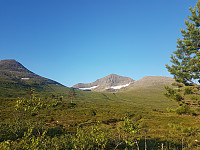 fredriks_20230717_64b50f381bc26.jpg