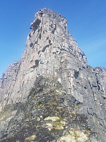 fredriks_20230717_64b50f6fb5848.jpg