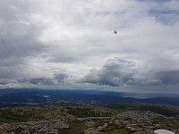 fredriks_20230719_64b835321bda3.jpg