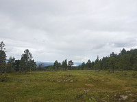 fredriks_20230719_64b8353978bc8.jpg