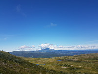 fredriks_20230730_64c61eed24813.jpg