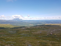fredriks_20230730_64c61ef5bfacd.jpg