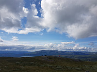 fredriks_20230730_64c61efe5012b.jpg
