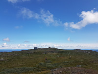 fredriks_20230730_64c61f017528d.jpg