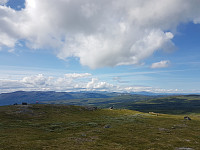 fredriks_20230730_64c61f043701a.jpg