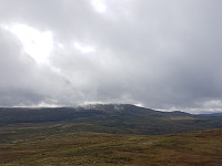 fredriks_20230902_64f35a950ecdb.jpg