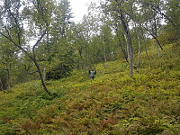 fredriks_20230902_64f35a96d1370.jpg